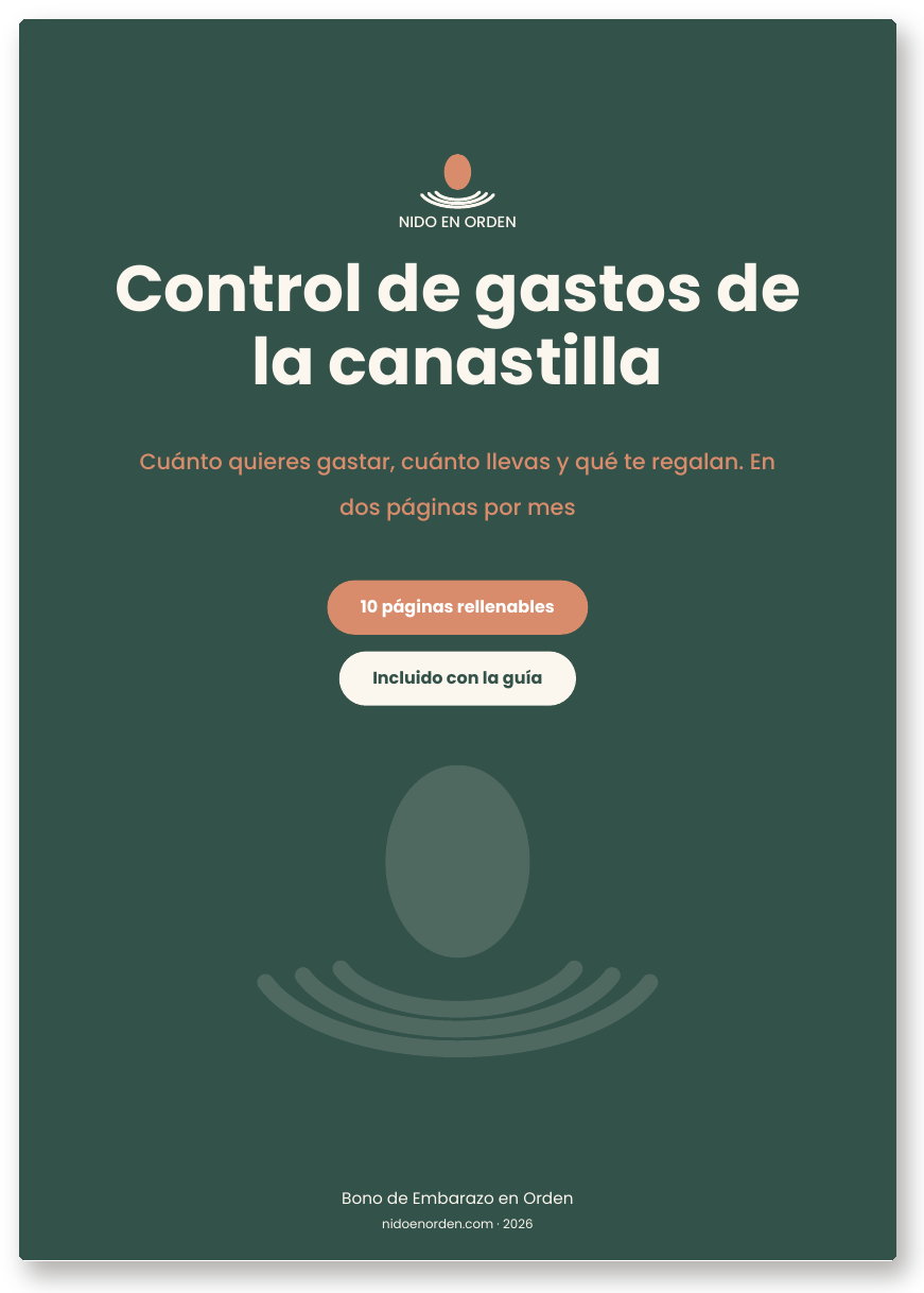 Portada de Control de gastos de la canastilla